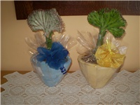 e5d3beee-Picture 083.jpg